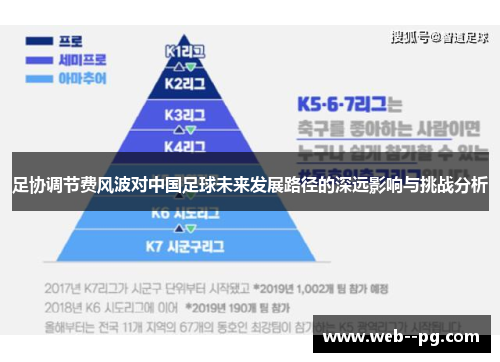 足协调节费风波对中国足球未来发展路径的深远影响与挑战分析