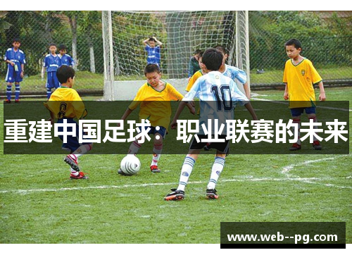 重建中国足球:职业联赛的未来 重建中国足球:职业联赛的未来